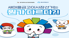 선거365 #7(새마을금고이사장선거의 다른 점 3가지)